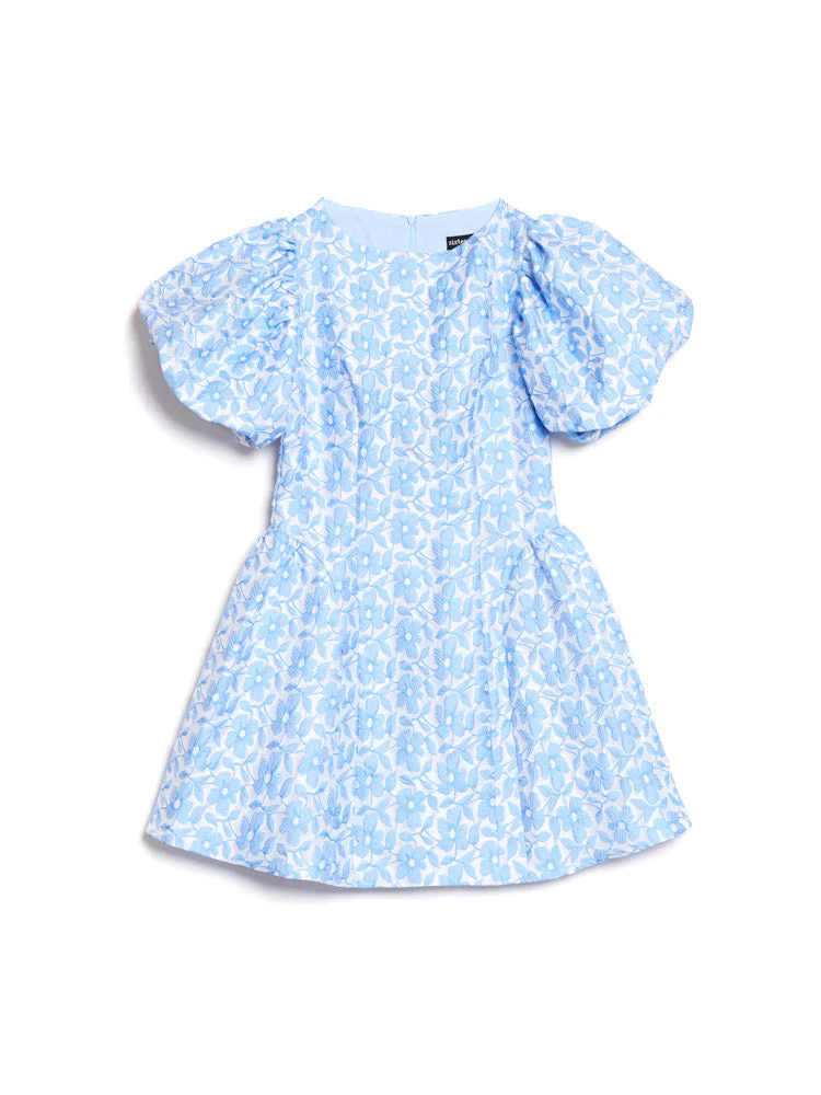 Bilberry Jacquard Mini Dress - Image 7