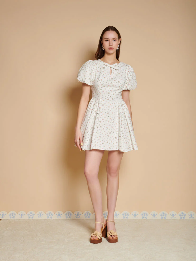 Elin Ditsy Mini Dress - Image 4