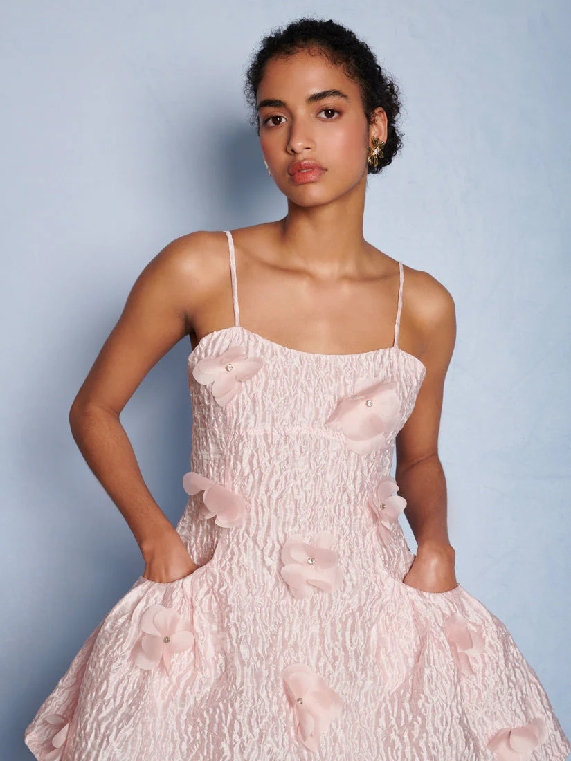 <b>DREAM</b> Lera Applique Mini Dress - Image 5