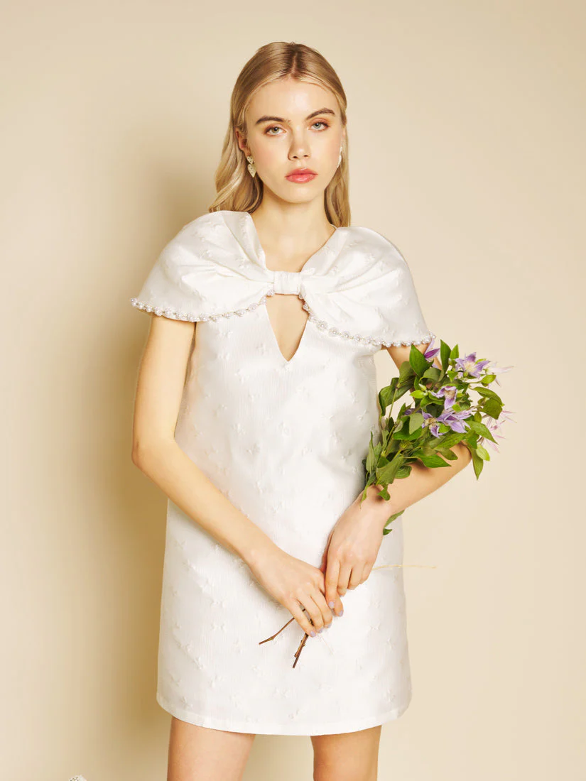 Opaline Embellished Mini Dress