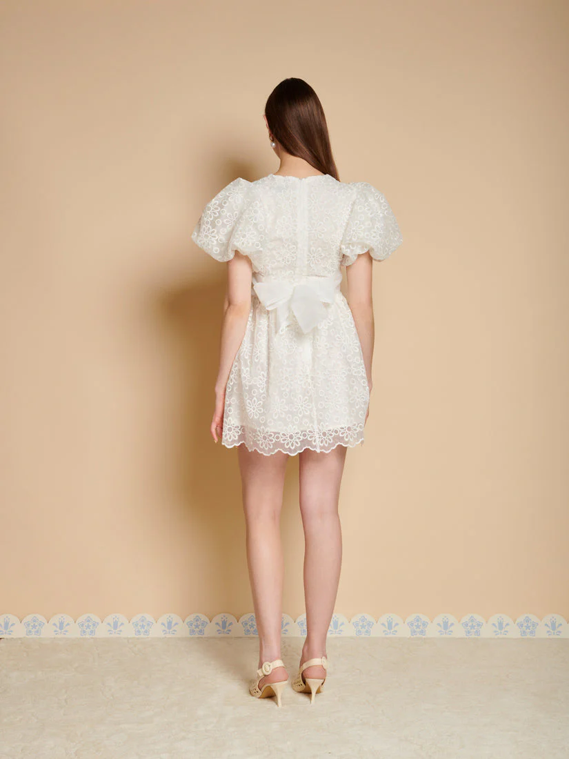 Winnie Embroidered Mini Dress - Image 3