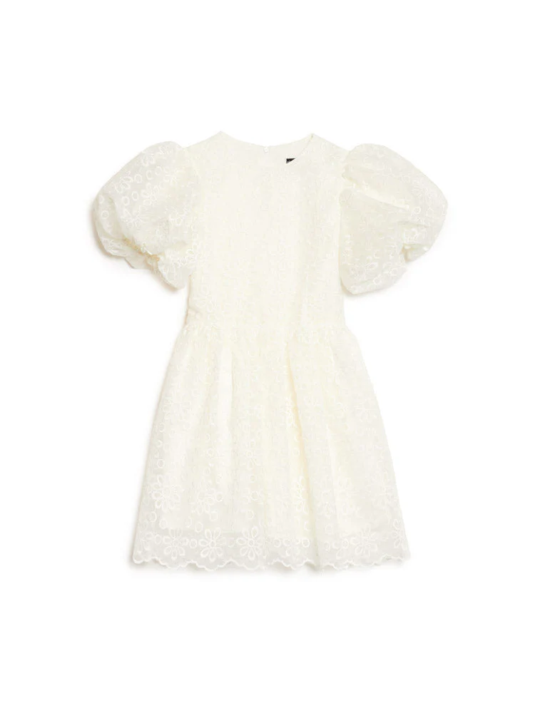 Winnie Embroidered Mini Dress - Image 7